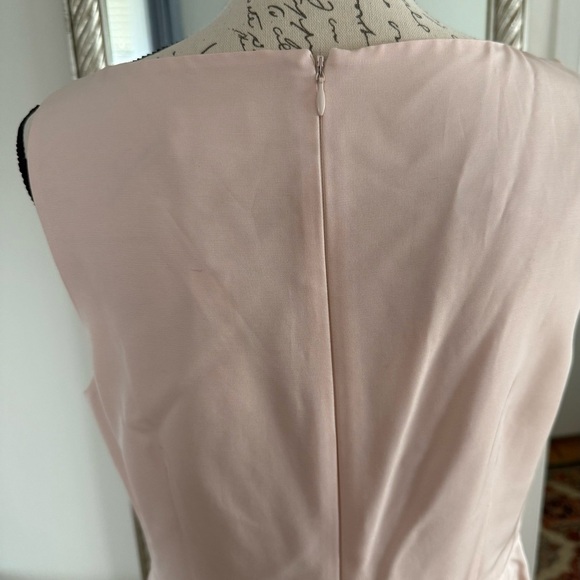 NWT JCrew Elegant Pink Dress - Picture 3 of 5